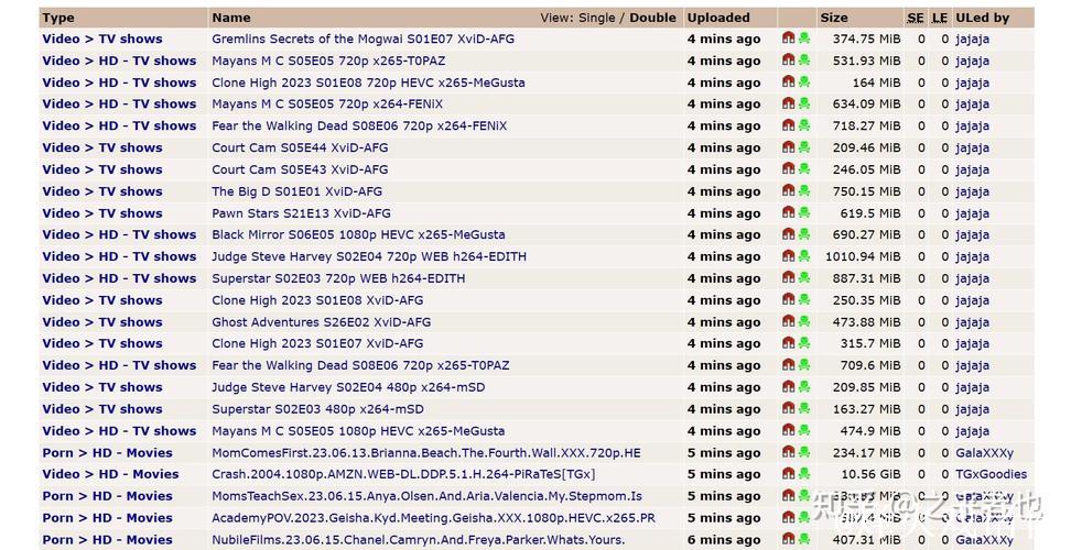 BT搜索神器：畅游磁力天堂世界