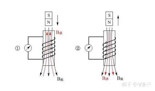 全面解析：磁力搜索引擎的工作原理与应用