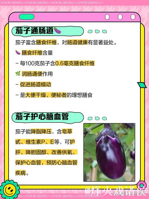 详解91茄子视频的功能与使用