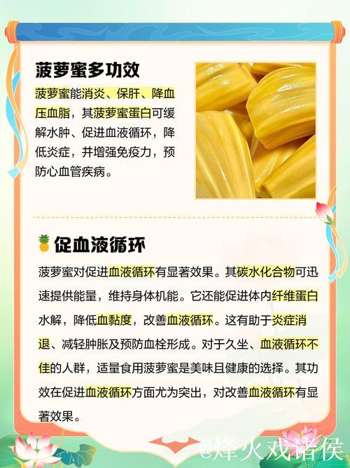 了解“菠萝蜜视频网页版”：全方位探索与体验