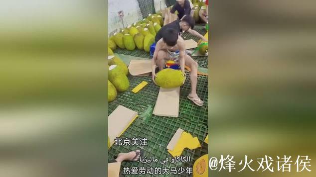 菠萝蜜直播视频解析与精彩瞬间